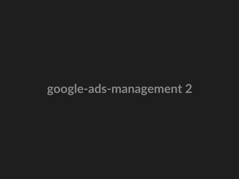 Google Ads Management preview 2