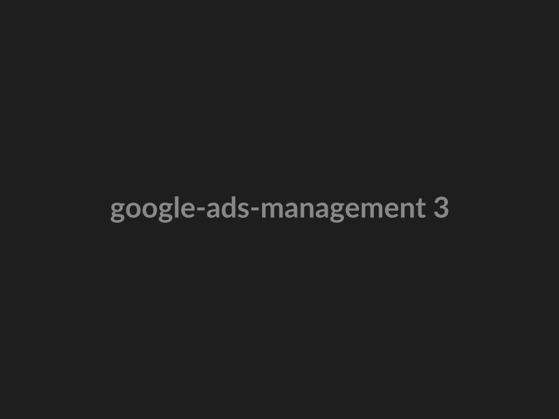 Google Ads Management preview 3