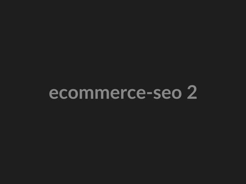 E-Commerce SEO preview 2
