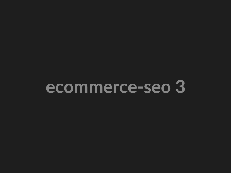 E-Commerce SEO preview 3